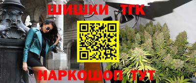 Альфа ПВП Кандалакша