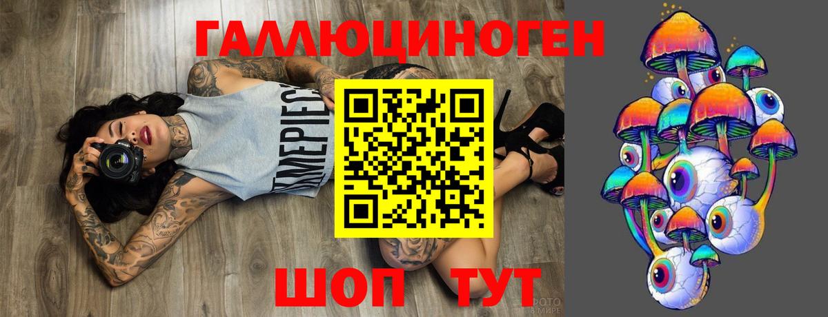 Фурманов  Псилоцибиновые грибы MAGIC MUSHROOMS  Вход с VPN  Псилоцибиновые грибы Cubensis 